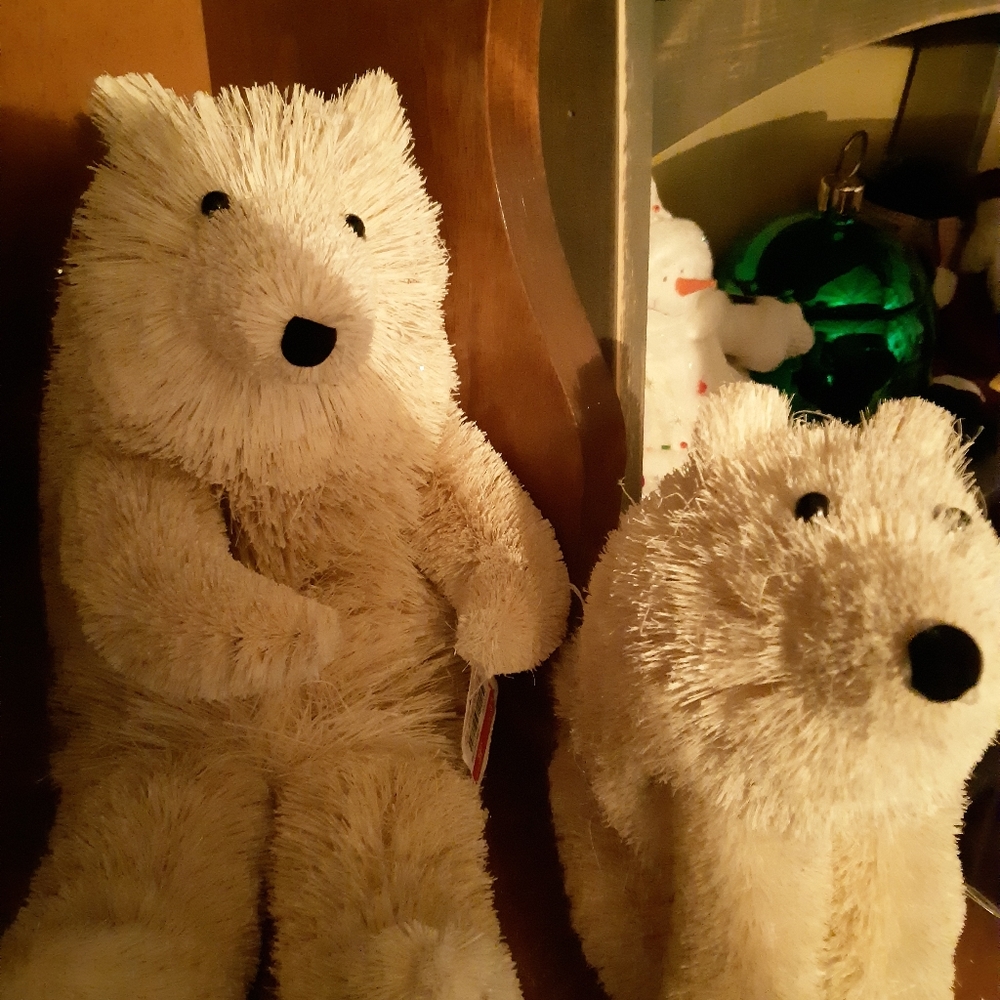 3/$30 Polar bears